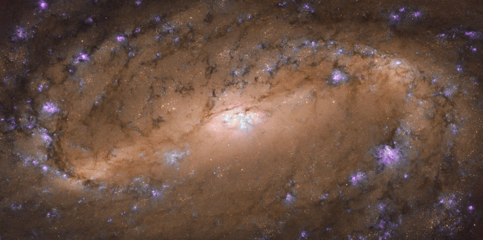 Hubbles senaste bild: spiralgalaxen NGC 2903