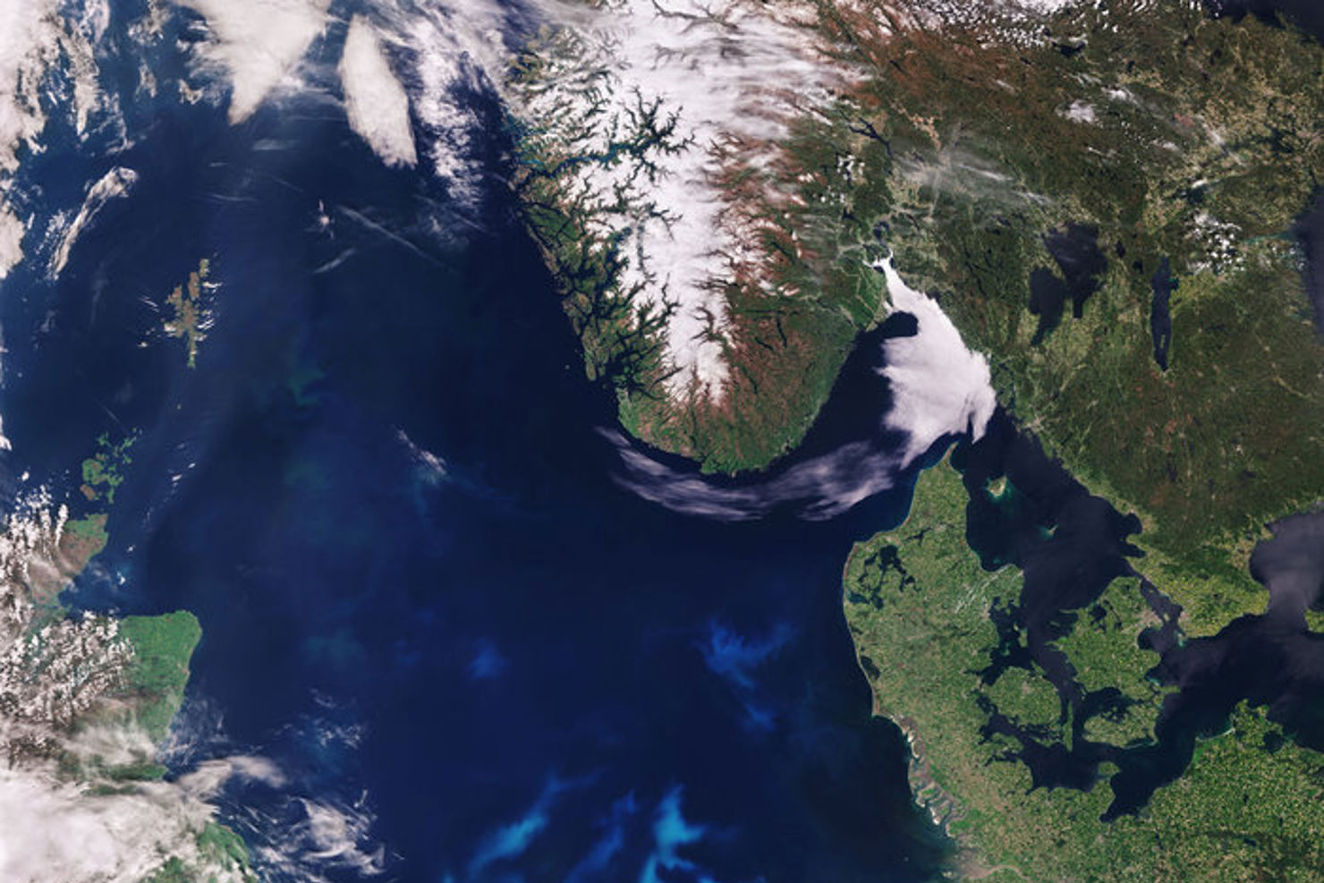 Rymdstyrelsen bjuder in till workshop om rymddata i skogsbruket