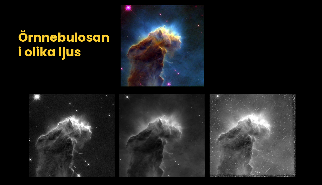 Flera bilder svartvita och i färg med texten Örnnebulosan i olika ljus.