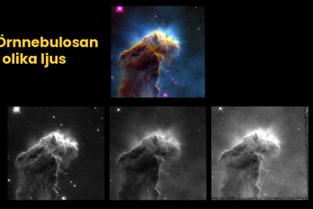 Webb Hubble raw-1.png Flera bilder svartvita och i färg med texten Örnnebulosan i olika ljus.