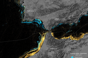 Fiskebåtar.png Fiskebåtar i havet utanför Portugal, Spanien och Marocko