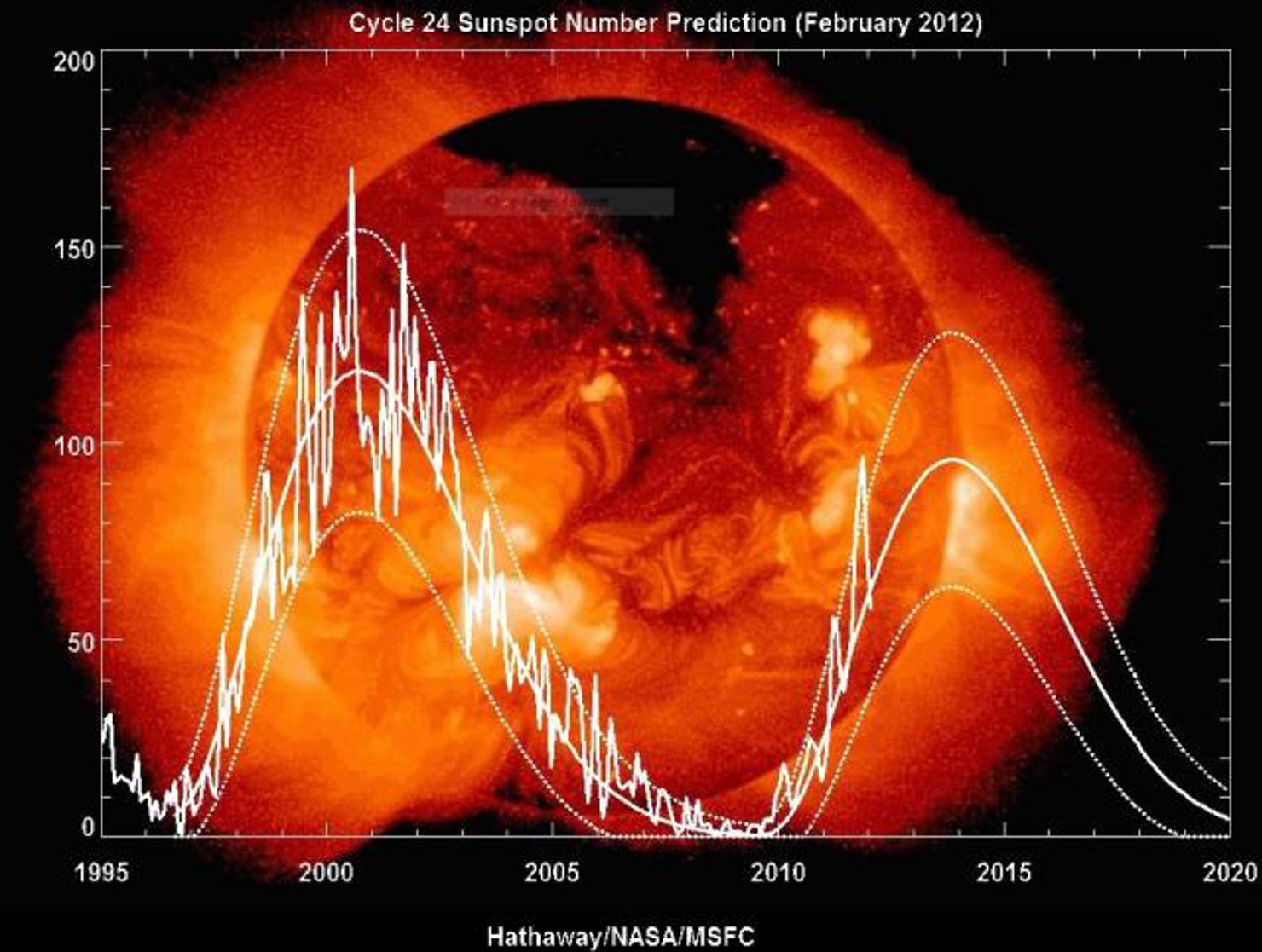 Grattis Odin - 11 år idag!
