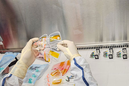 Crew 12 experiment.jpg Händer som håller i experiment i ett renrum.