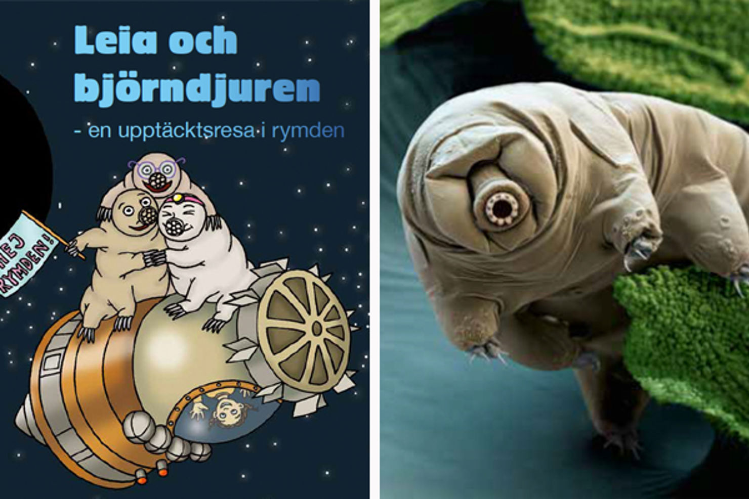 Se rymdens tuffingar bli rikskändisar