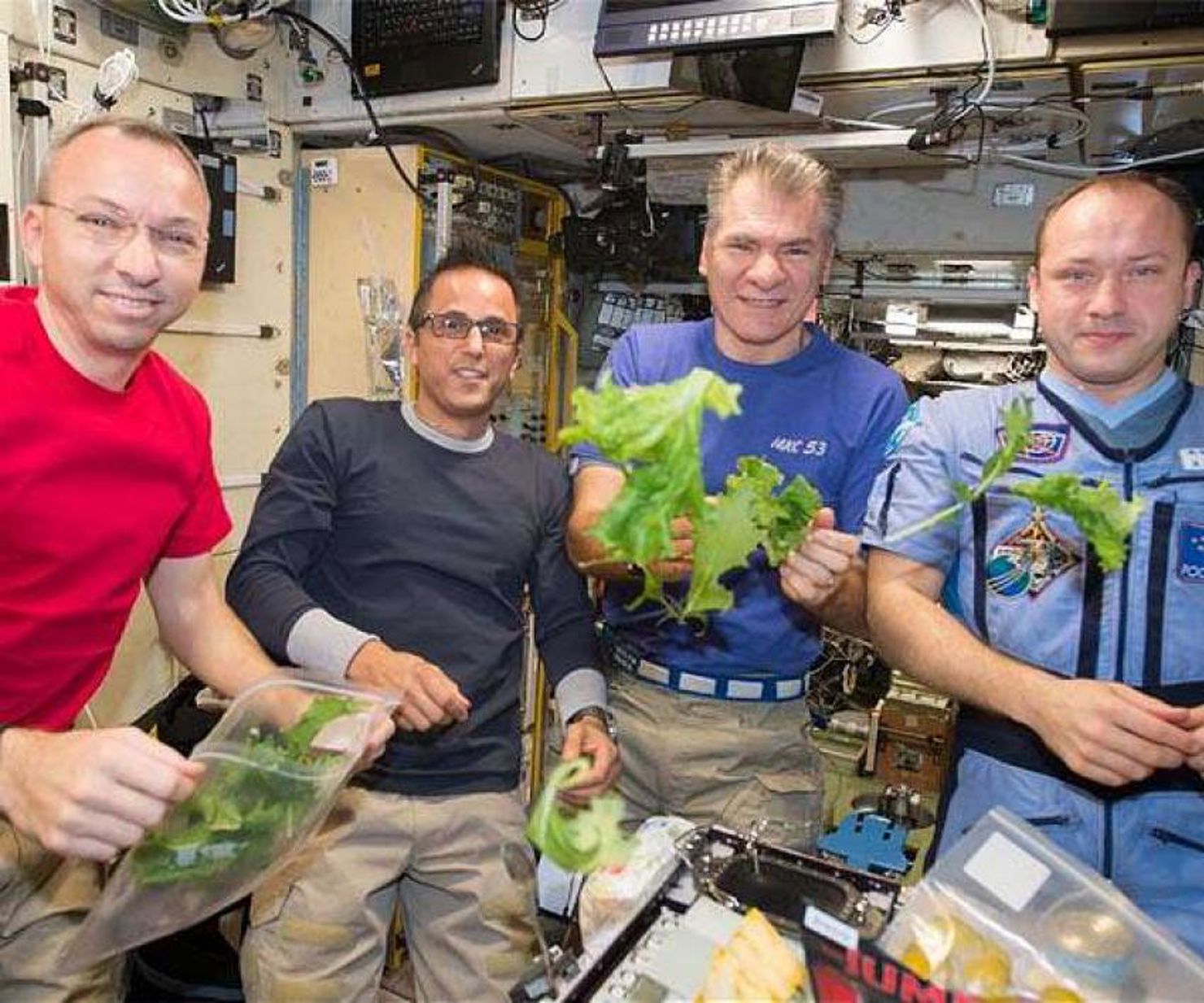 Gymnasieelever lär Nasa att odla i rymden