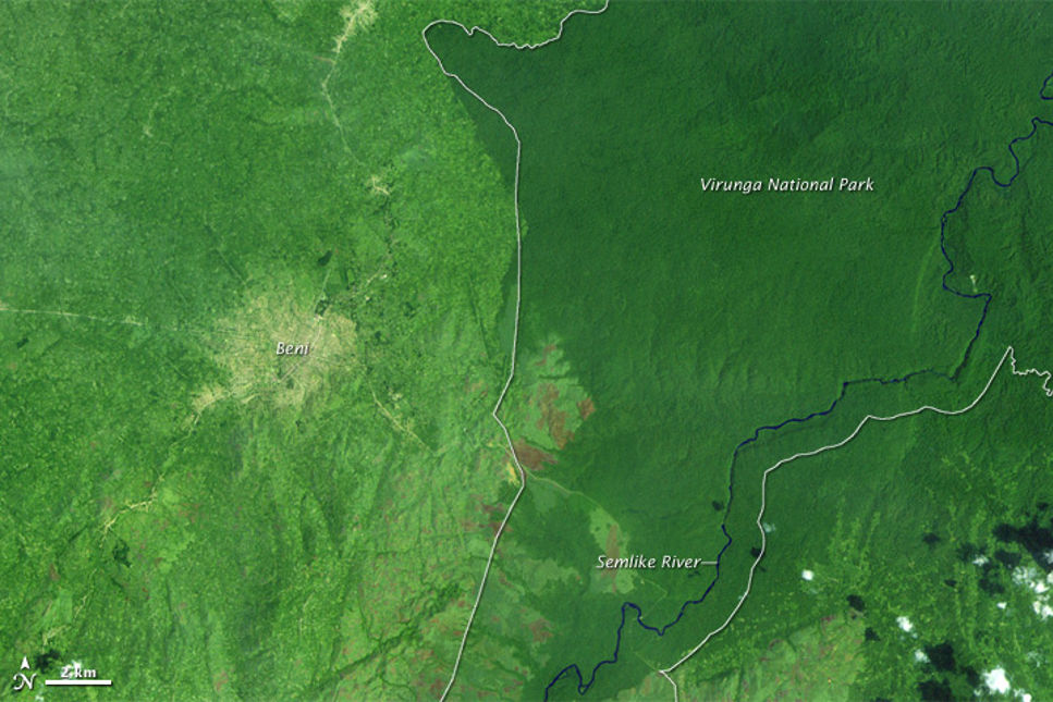 I Kongo och Virunga nationalpark övervakar man regnskogen med satellitbilder. Källa: Landsat.