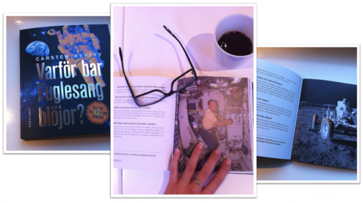 Boktips: Varför bar Fuglesang blöjor?