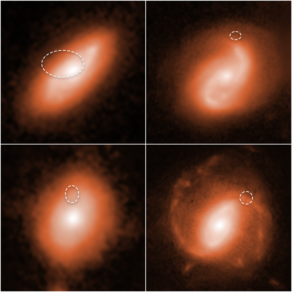 Galaxer med radioblixtrar
