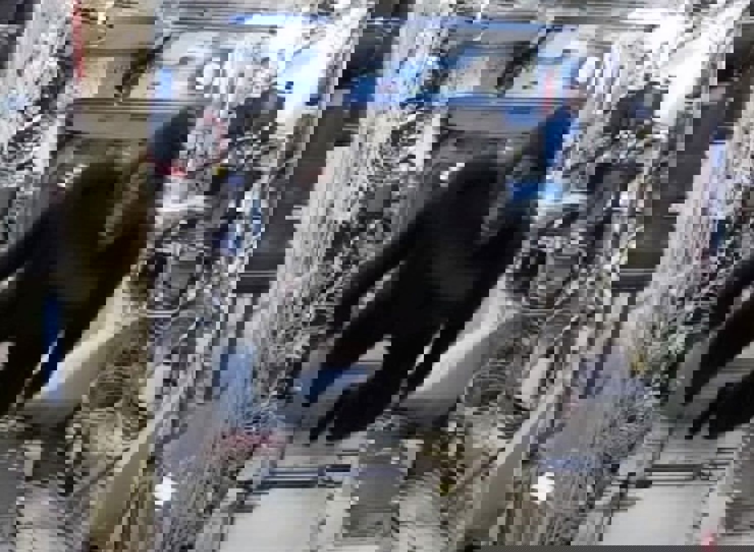 Astronauten Scott Kelly överraskar kollegorna på rymdstationen utklädd till gorilla.