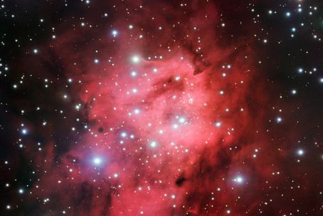 potw2113a.jpg Stjärnor