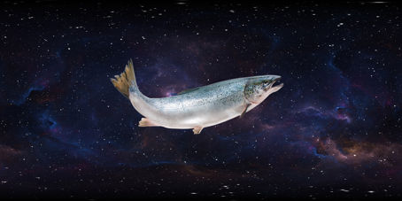 Montage av en fisk i rymden