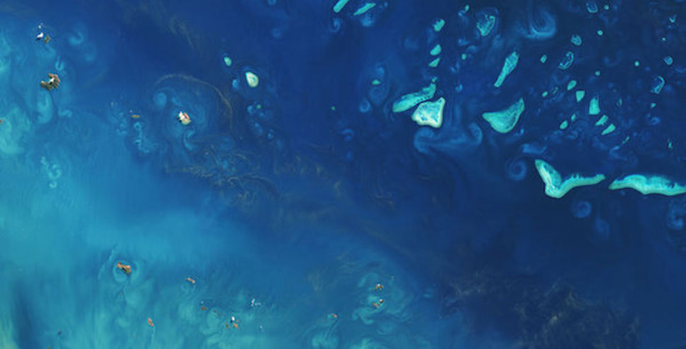 Världens största korallrev