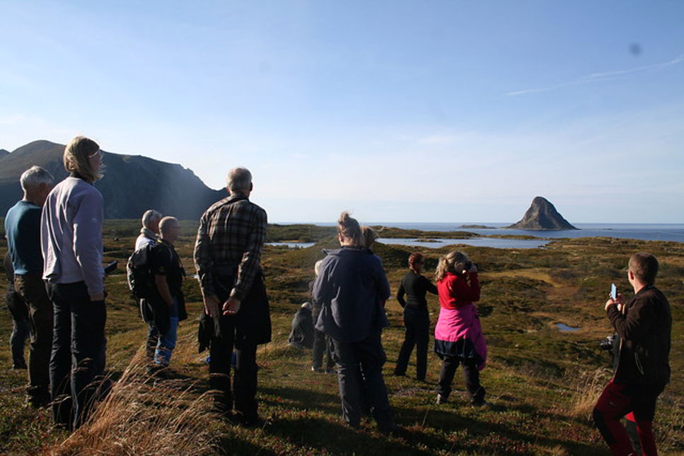 Kostnadsfritt sommarläger på Andøya