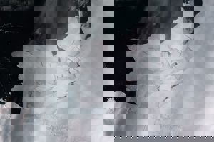 Iceberg_shattered.jpg Gigantiskt isblock lossnade - fångat på bild från rymden