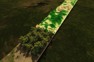 Biomass_tomography_pillars.png Radarbild över skogen