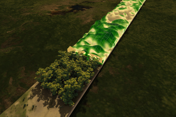 Biomass_tomography_pillars.png Radarbild över skogen