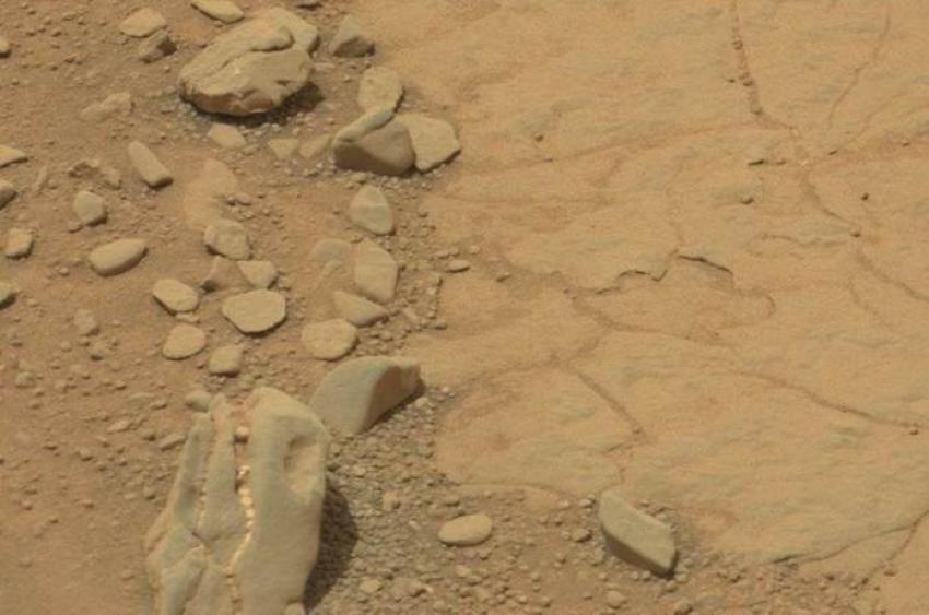 En dinosaurieskalle upptäck på Mars 2013. 