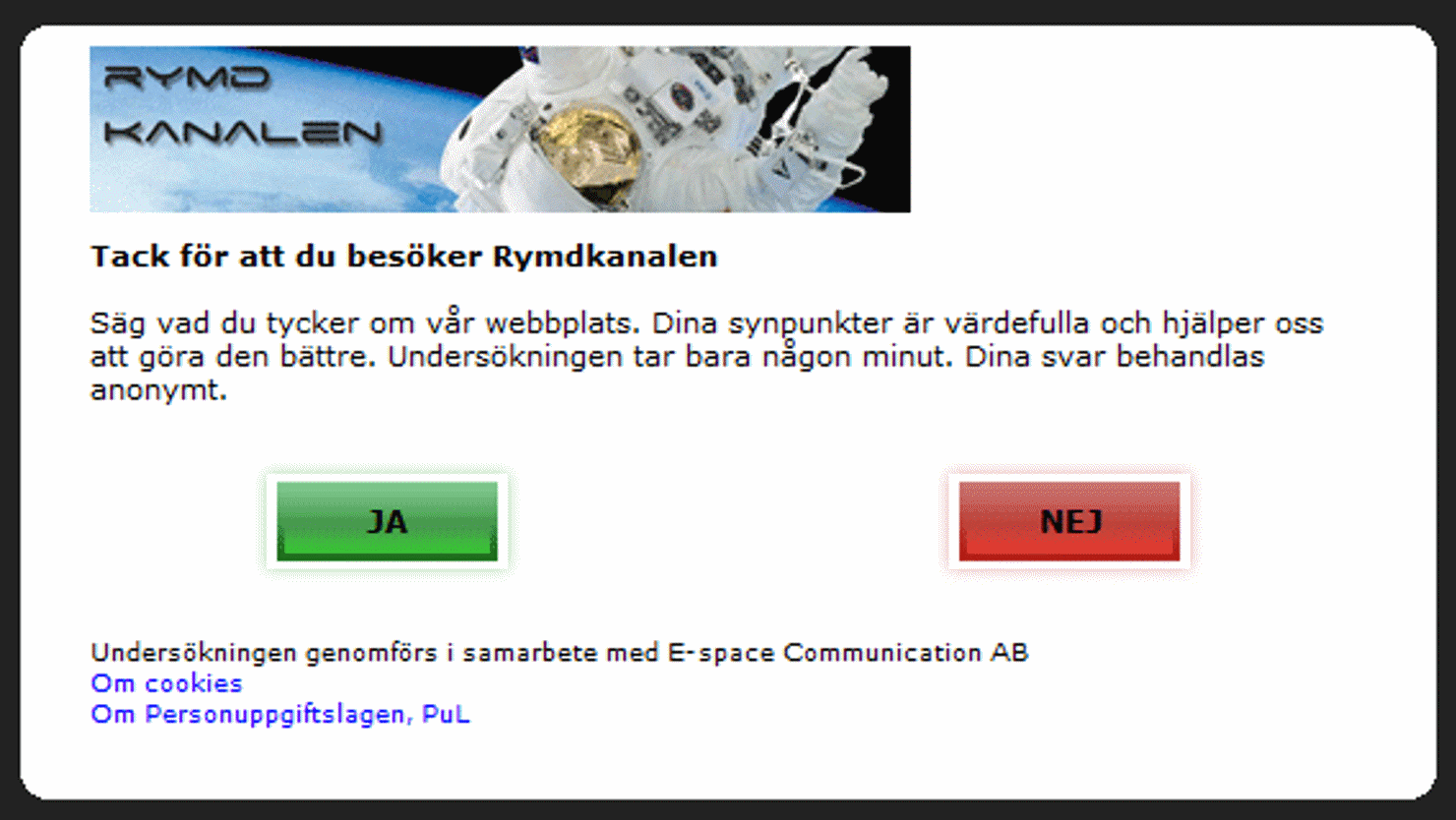 Webbplatsundersökning