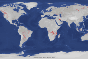 Fires_around_the_world_pillars (1).gif Sentinel-3 World Fire Atlas registrerade bränder 2018 I jämförelse med 2019.