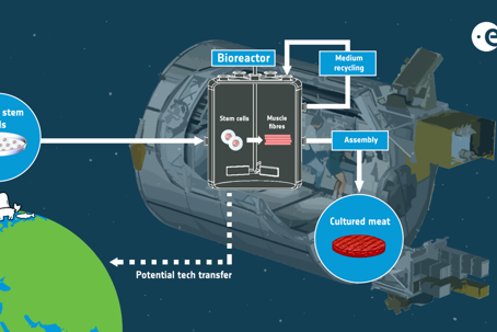 Cultured_meat_for_long-term_space_missions Foto Esa.png Odlat kött kan vara rätt