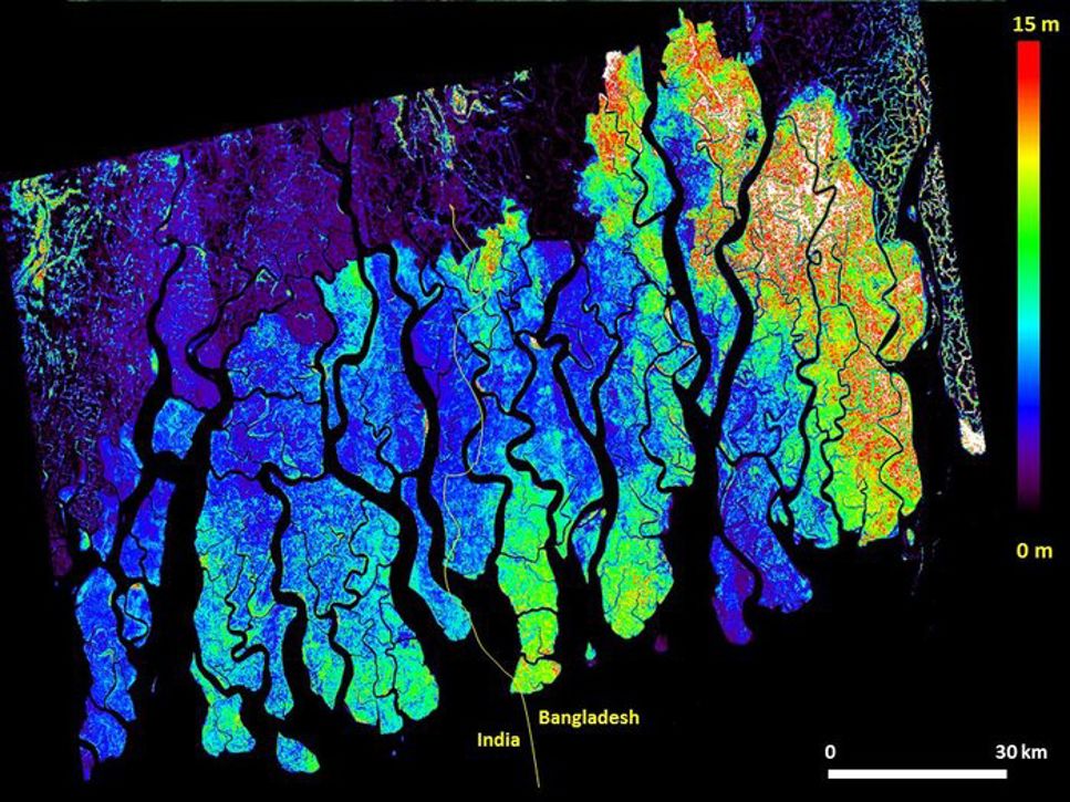 3D-karta över mangroveskog i Bangladesh.