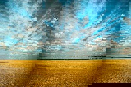 pexels-oleksandr-pidvalnyi-1227513.jpg Åker på sommaren