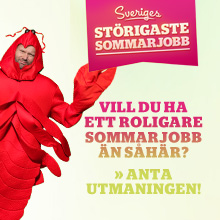 Störigaste sommarjobb