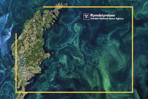 Vägg 2.png Gotland från satellit med starka gröna och blå färger