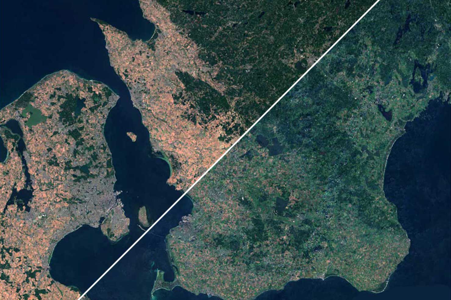 Så ser Sverige ut efter torkan