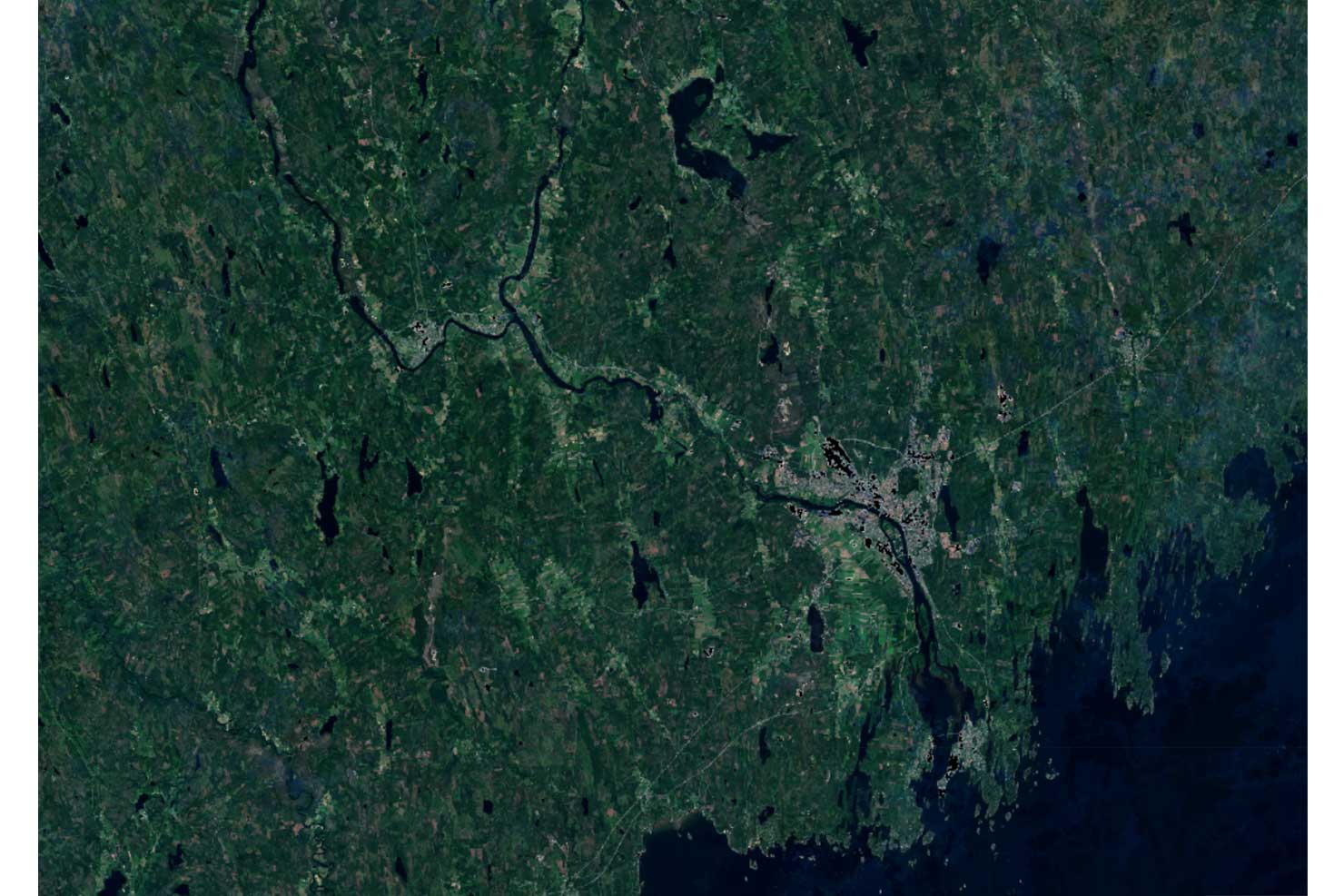 Svarta kvinnor med håriga buske