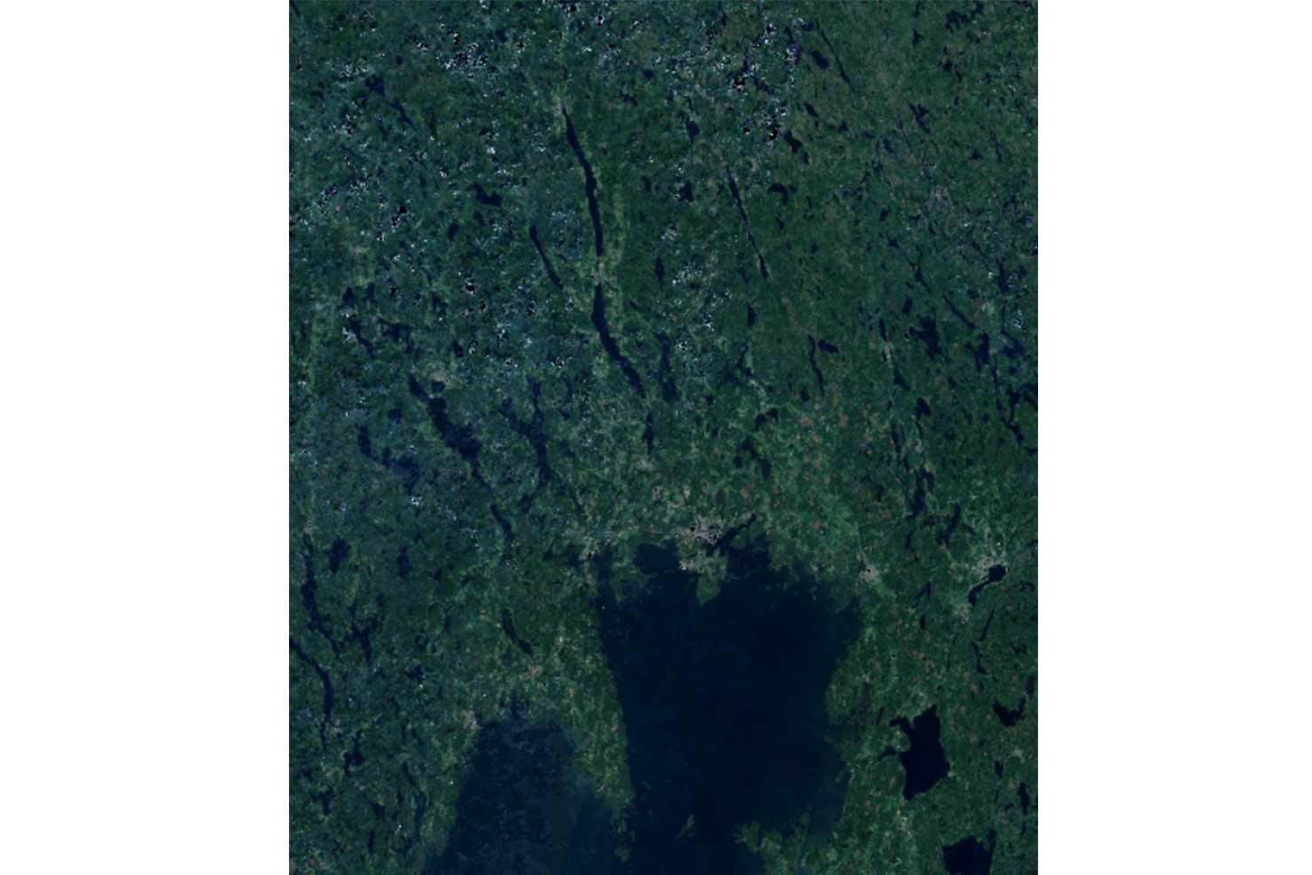 Google svart kön