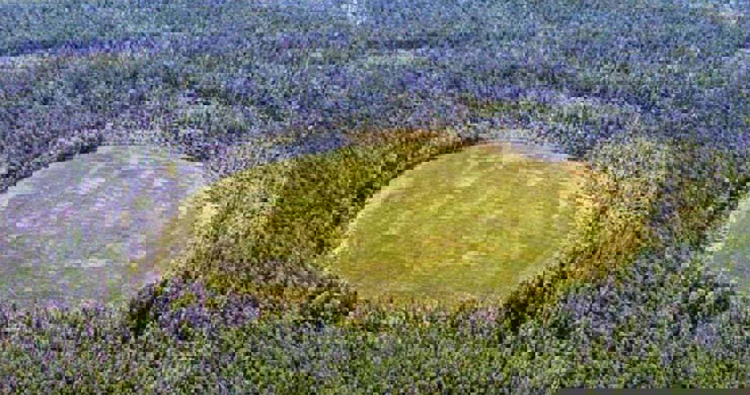 tunguska1.jpg Förbipasserande asteroid tros ha orsakat massiv explosion