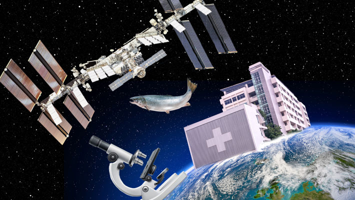 Kollage av satellitbilder