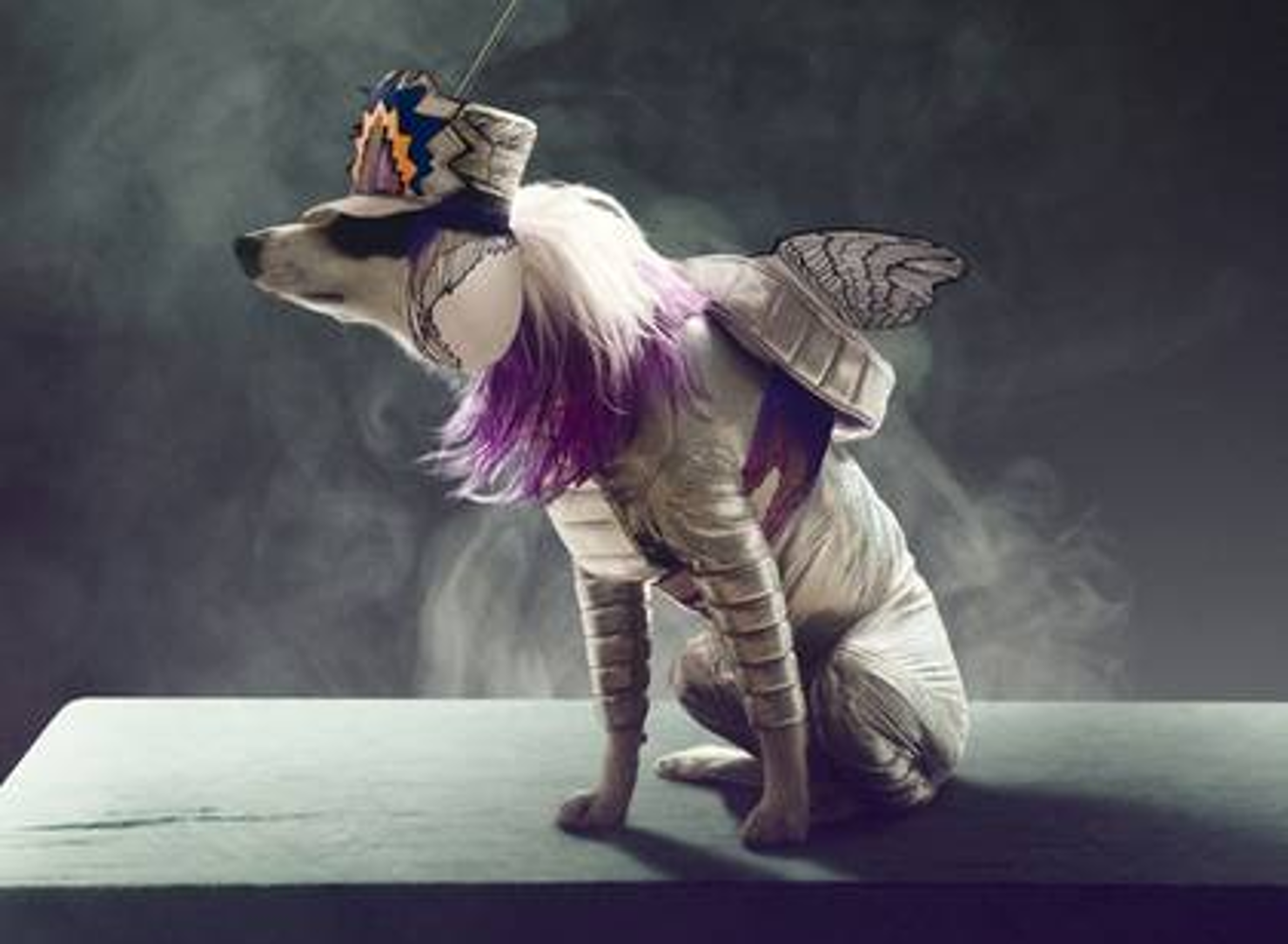 Gästblogg: Liv i och från rymden populärt på årlig konferens