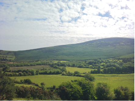 Vy över landskapet på irland. på bergsluttningen ser man hur skogen övergår i gorse(mörkare grön färg)