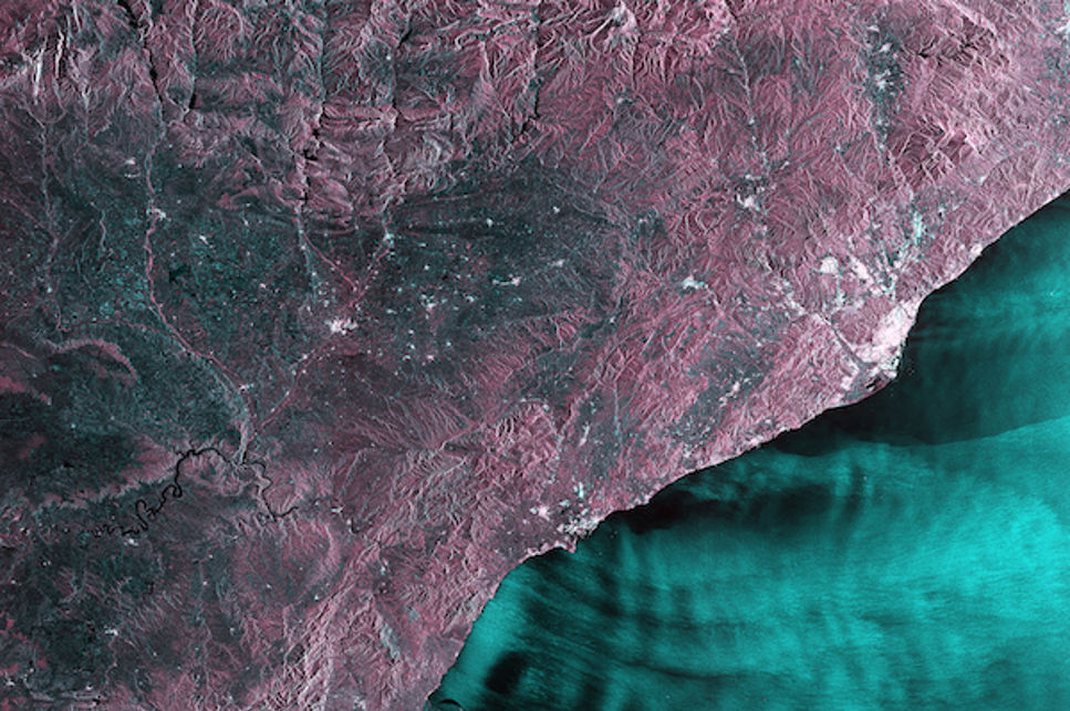 Spanien i rosa skimmer
