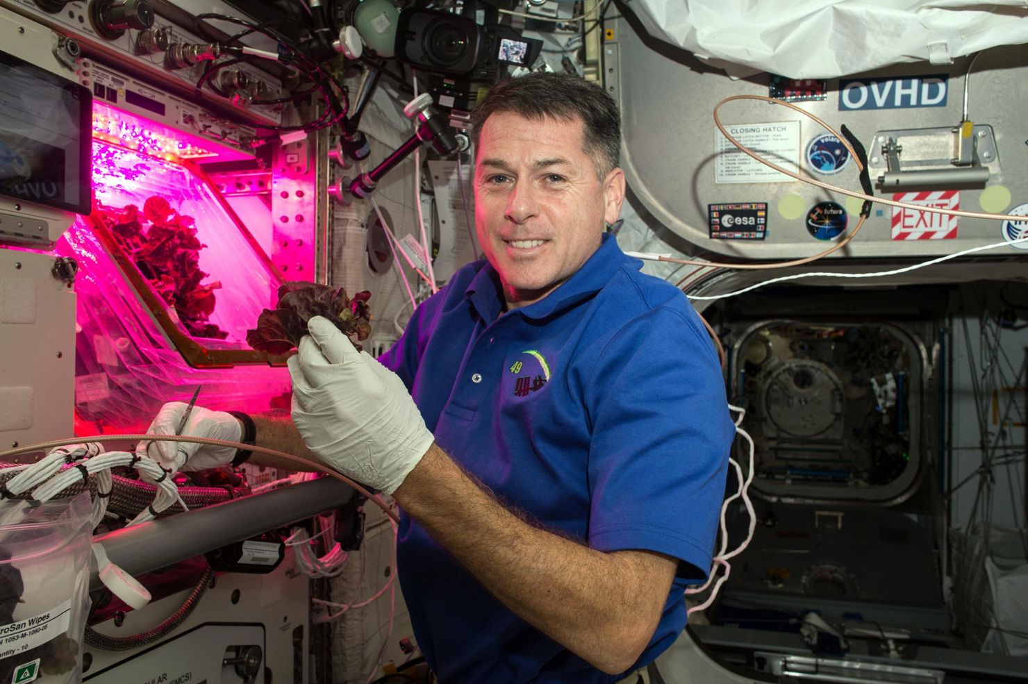 Kan man odla mat i rymden?