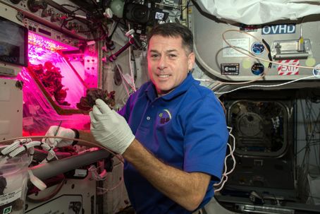 ISS-Veggie-Chamber-scaled.jpg Kan man odla mat i rymden?