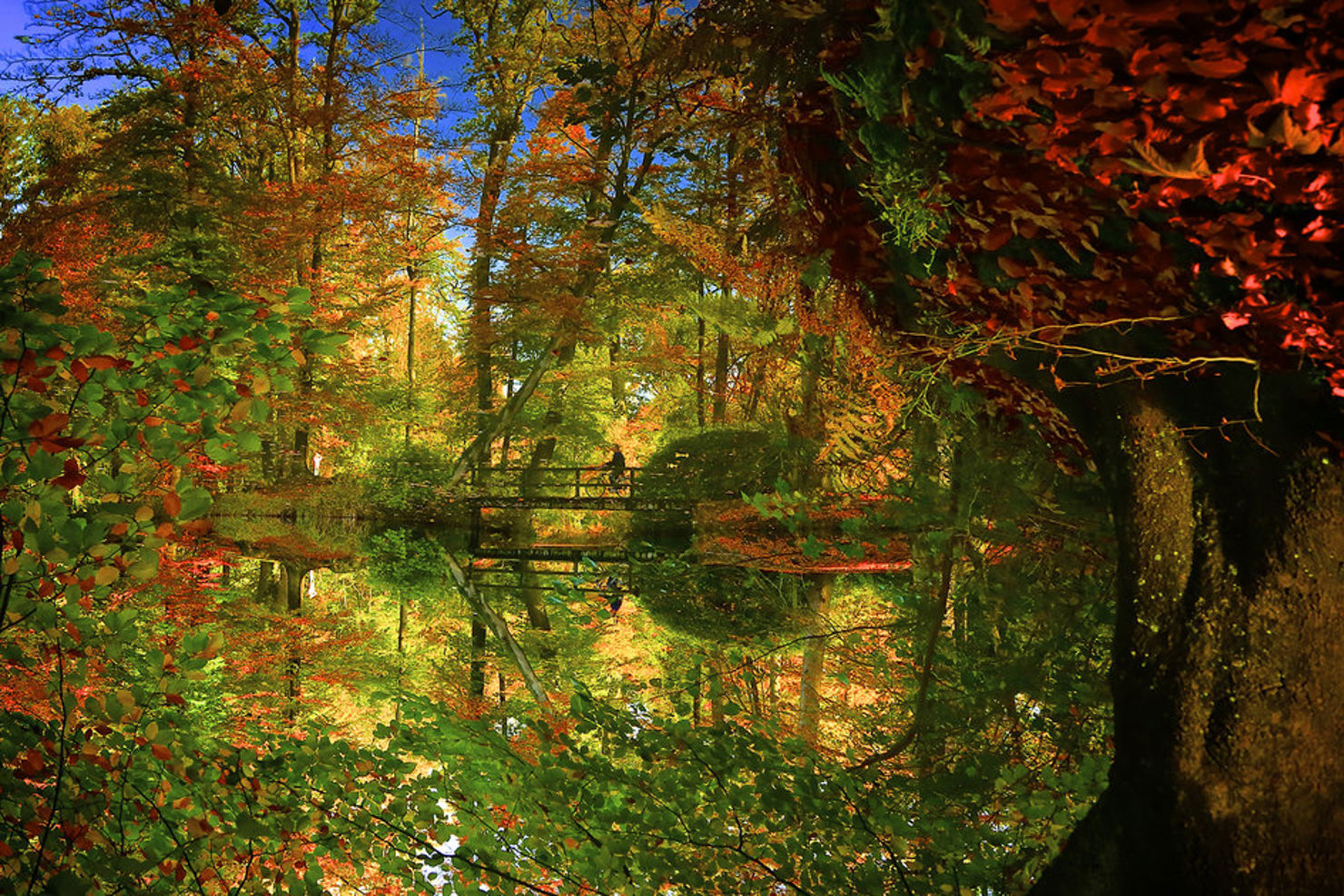 Här är vinnarbilden i fototävlingen "Sentinel-2 Colour vision"