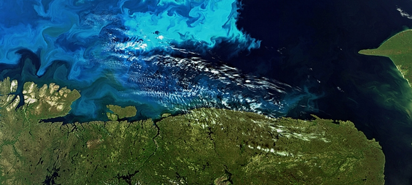 Användardelen 2009
