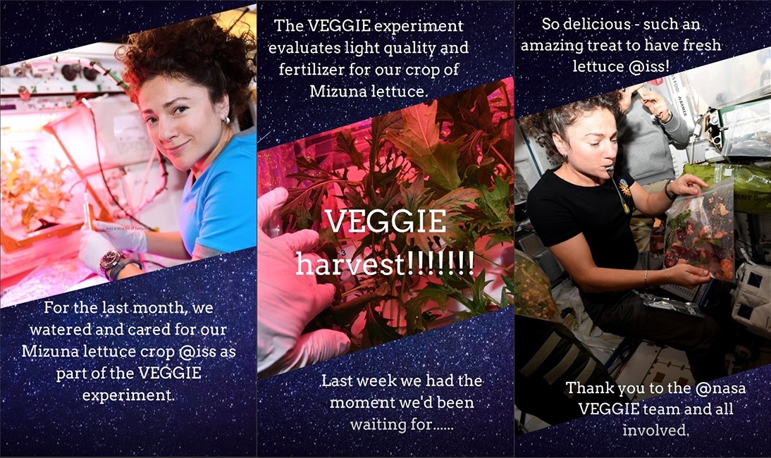 Skördefest på internationella rymdstationen