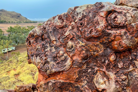 egg_carton_stromatolites_at_the_trendall_2.width-1320.png Gammal sten i Australien