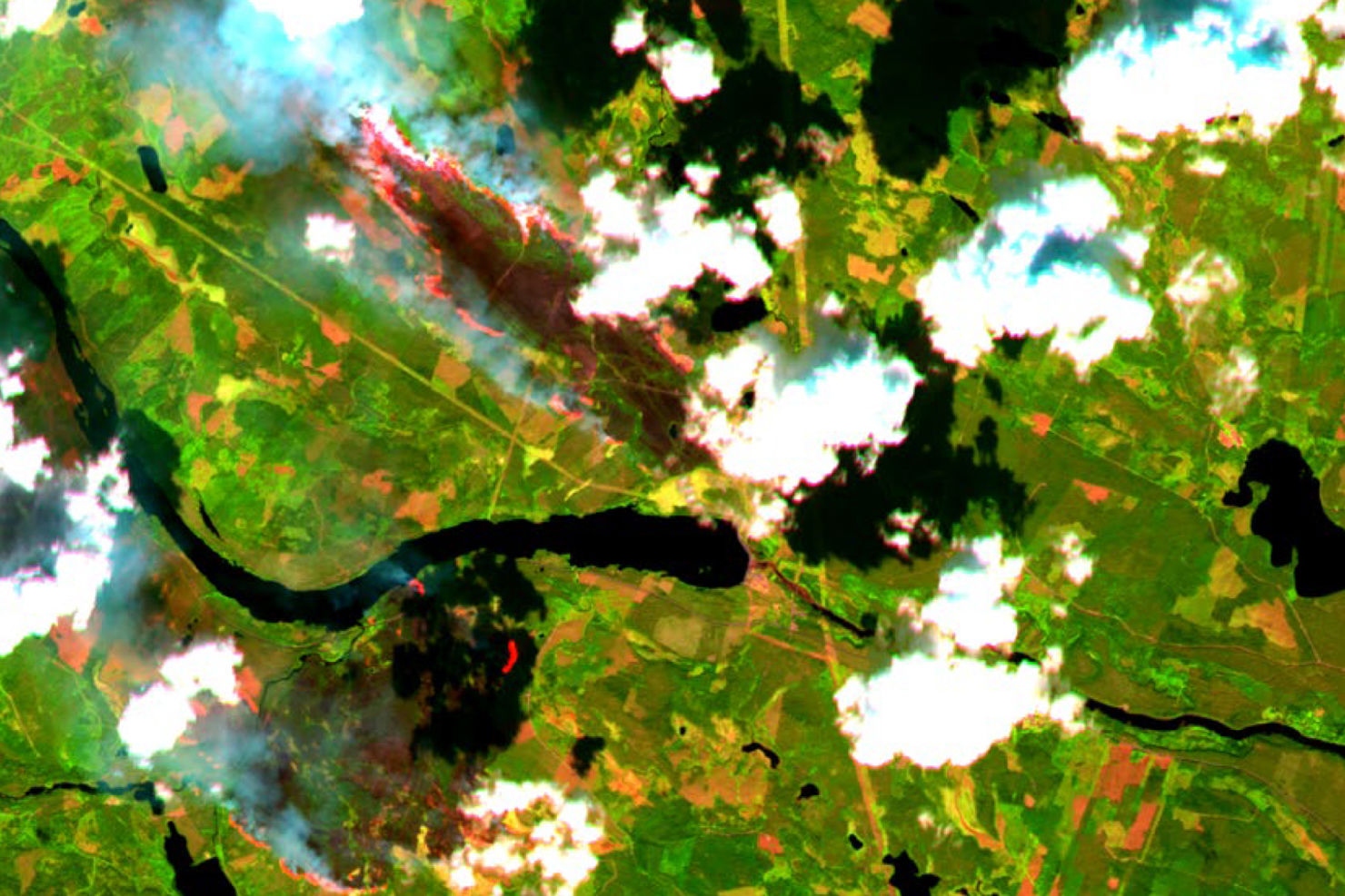 Rymdstyrelsens årsredovisning 2018