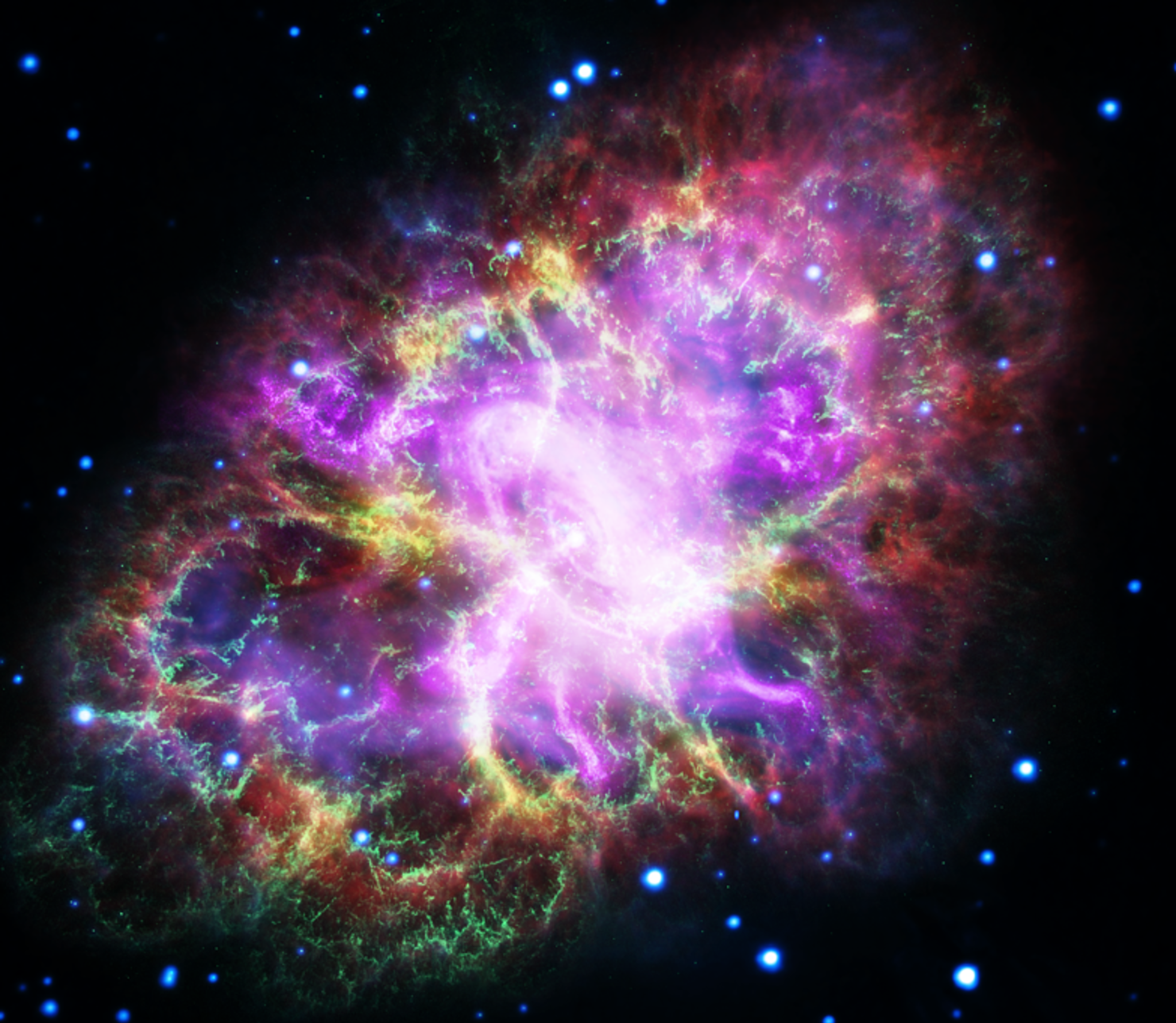 Nya upptäckter om Krabbnebolusan