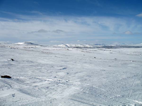 Snö