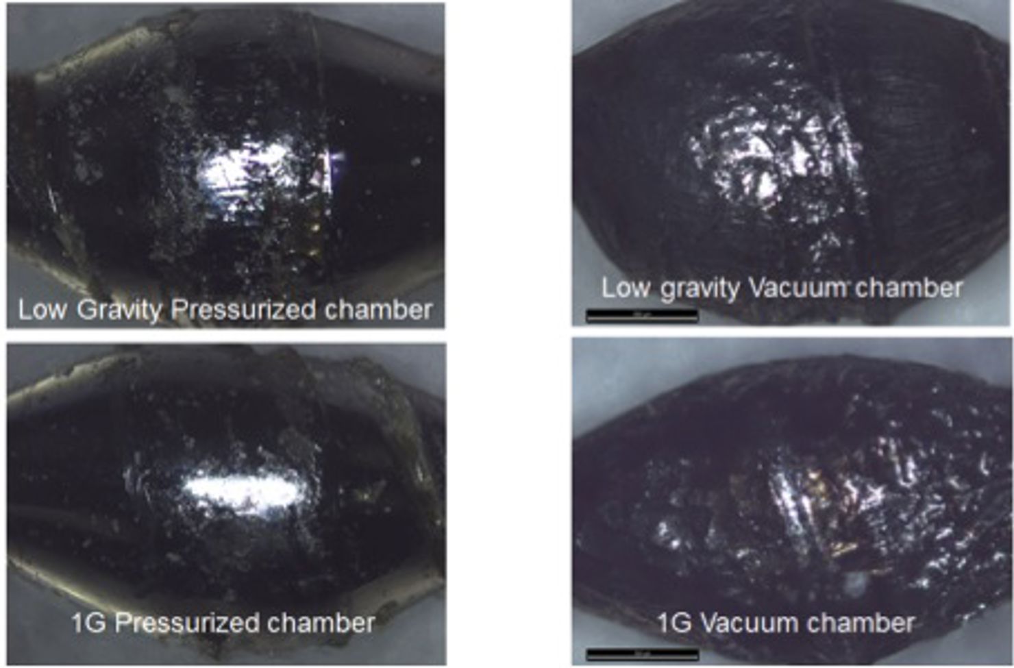 Slutresultat från SOLAR-projektet