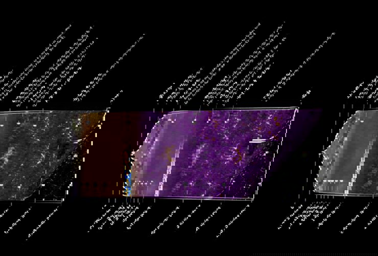 Pressmöte om nya data från rymdteleskopet Planck