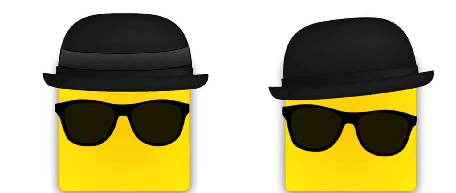 Guldkuberna inuti rymdsonden har döpts till Jake och Elwood.