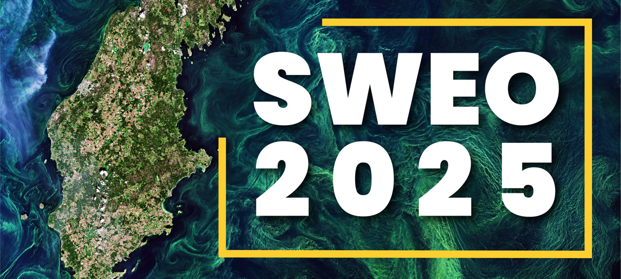 SWEO 2025 logo.png SWEO2025