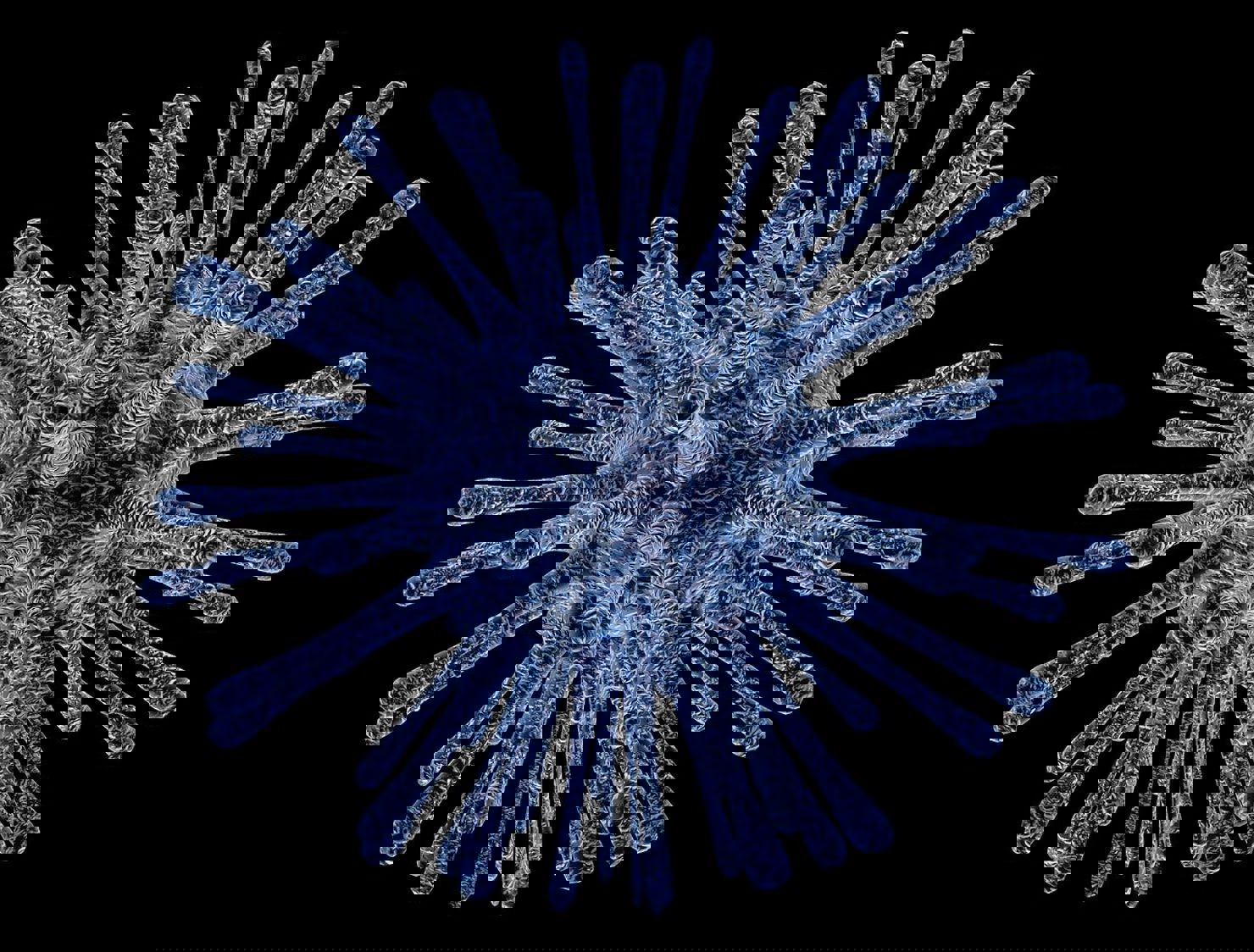 virus-213708_1280.jpg Virus i rymden